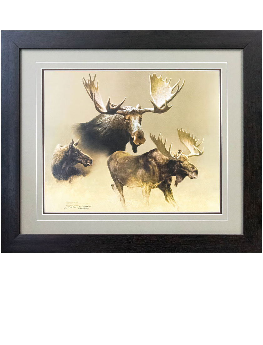 OFAH conservation print - Algonquin Moose Study by Michael Dumas